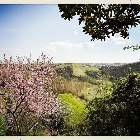 Σπίτι διακοπών La Trifola Scurzolengo