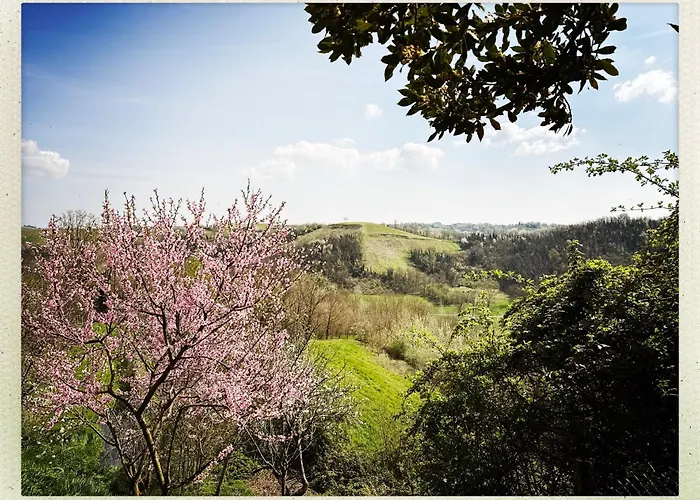 Holiday home La Trifola Scurzolengo